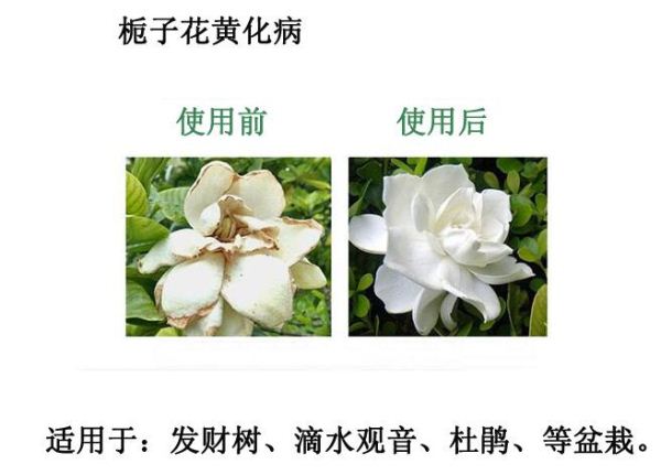 �������၆�F���a(ch��n)�S�ң����a(ch��n)�|(zh��)��(y��u)�r(n��ng)�I(y��)�����၆�F�����a(ch��n)�S���Ԓ��13838587319