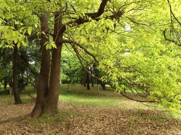 �������၆�F��ֹ�����~Ƭ�S��Ч���ܸܵΣ��Ԓ��13838587319 �O��(j��ng)��